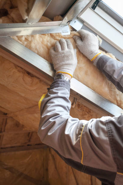 Best Residential Insulation Services  in USA